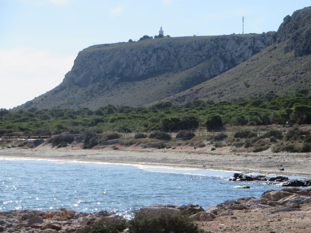 Dal nuovo quartiere di Gran Alacant c'è un sentiero stretto che scende verso Avenida Catalanet, da dove si può entrare nelle dune e nella spiaggia "Arenales del Sol". Era una giornata di sole a gennaio e