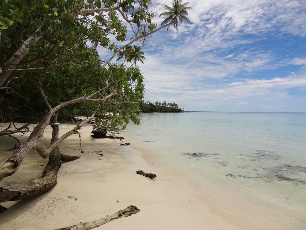 En times spasertur langs kysten betydde at vi så én person - en fisker padlet forbi. I Virgin Cove