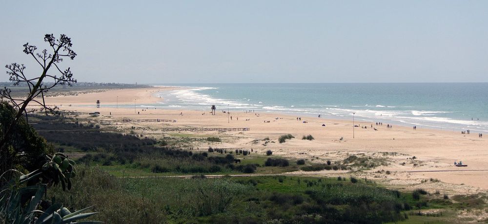 Playas de Conil de la Frontera, Cádiz.
<a href=